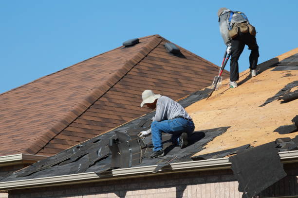 Best Skylight Installation and Repair  in Clinton, WA