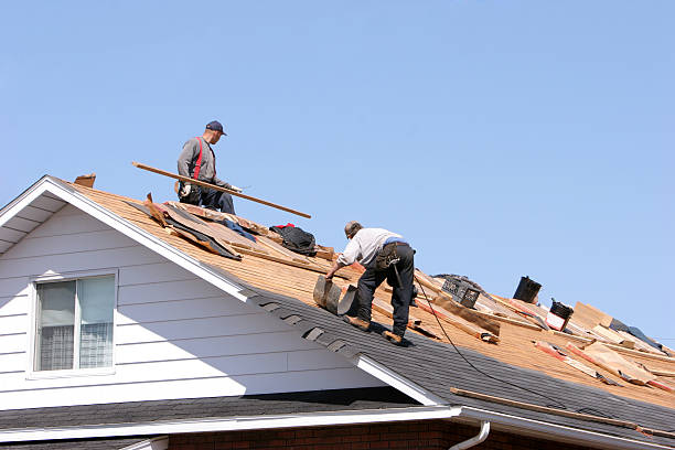 Best Asphalt Shingle Roofing  in Clinton, WA